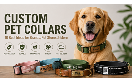 Custom Pet Collars: 10 Best Ideas for Branding, Gifts & Pet Businesses