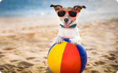 7 Awesome Summer Promotional Items