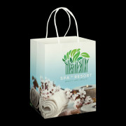 Full Colour Large Paper Carry Bag 