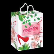 Full Colour Large Laminated Paper Carry Bag 