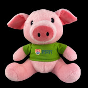 Plush Pig Toy