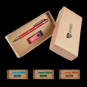 Alliance Pen & 4GB USB Cardboard Gift Set