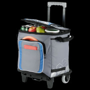 Arctic Zone 50 Can Cooler