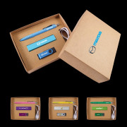 Chic Pen, USB & Power Bank Cardboard Gift Set