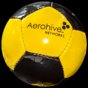 12 Panel Mini Soccer Ball