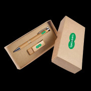 Kyoto Pen & 4GB USB Cardboard Gift Set