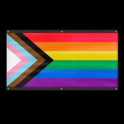 Premium LGBTQ+ Pride Progress Flag