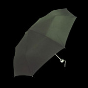 Mini Fold-up Umbrella