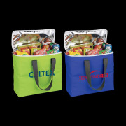 Arctic Zone 30-Can Foldable Freezer Tote Bag