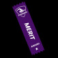 Purple/White Merit