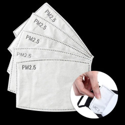 PM2.5 Insert Adult Mask Filters