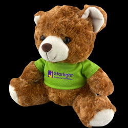 Plush Teddy Bear Toy