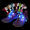 Light Up LED Shoelaces