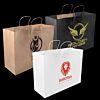 Extra Large Express Paper Bag