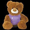 Plush Teddy Bear