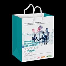 Full Colour Medium Laminated Paper Carry Bag
