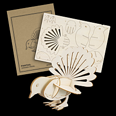 Laser Cut Fantail Wooden Model