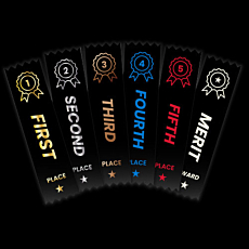 Merit Ribbons Black Style