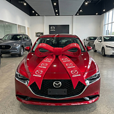 Custom Printed Car Bows