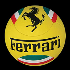 Printed Volleyballs
