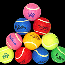 Promo Fetch Ball