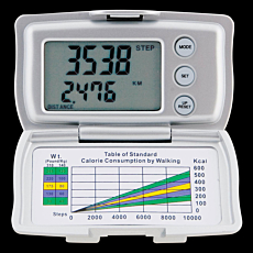 Pedometer Plus