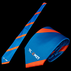 Custom Printed Ties