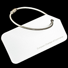Brushed Steel Luggage Tag