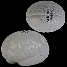 Stress Brain
