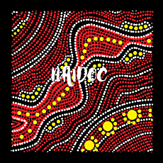 NAIDOC Microfibre Cloths