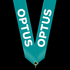 Medallion Ribbon