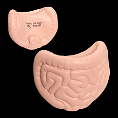 Stress Intestines