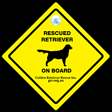 Car Window Signs