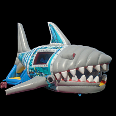 Custom Jumping Castles