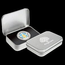 Brushed Tin Medal Presentation Case