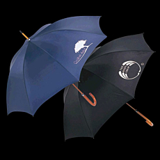 Executive Umbrella