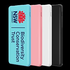 10000mAh Starlet Power Bank