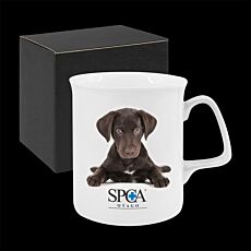 300ml Chroma Bone China Coffee Mug