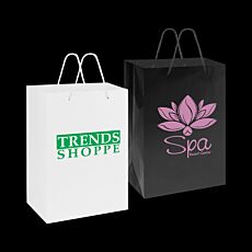 Large Laminated Carry Bag