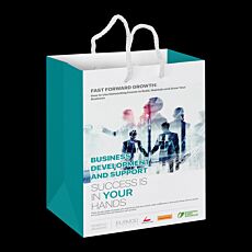 Full Colour Medium Laminated Paper Carry Bag 