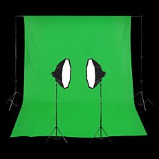 2 Head Powerful 5 Lamp Video Kit With Chromakey Backdrop