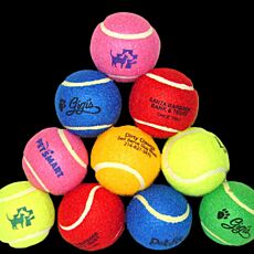Promo Fetch Ball