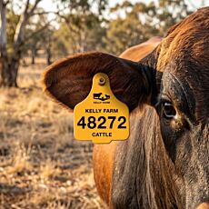 Cattle Flexible Ear Tags - Male