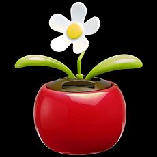 Solar Flower