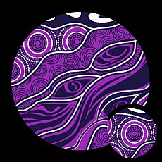 Custom NAIDOC Folding Frisbee