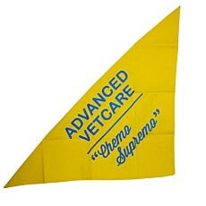 Standard Custom Bandana