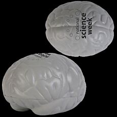 Stress Brain