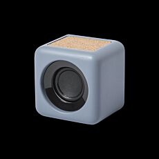 Seynol Speaker