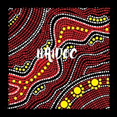 NAIDOC Microfibre Cloths