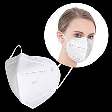 N95 Face Masks